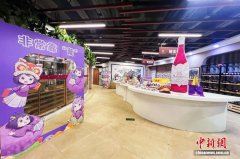 宁夏 “葡萄酒文创寻宝记”：解锁文旅融合的 “紫色密码”